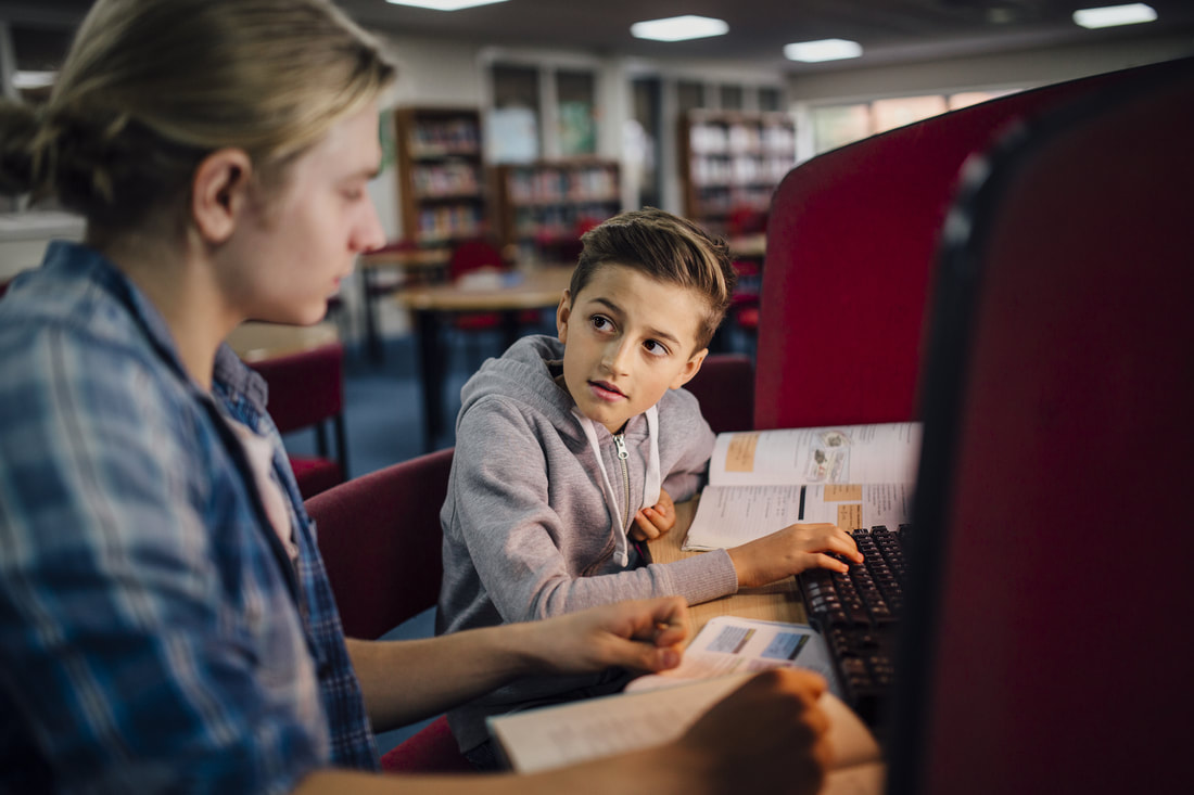 Peer and Cross-Age Mentoring